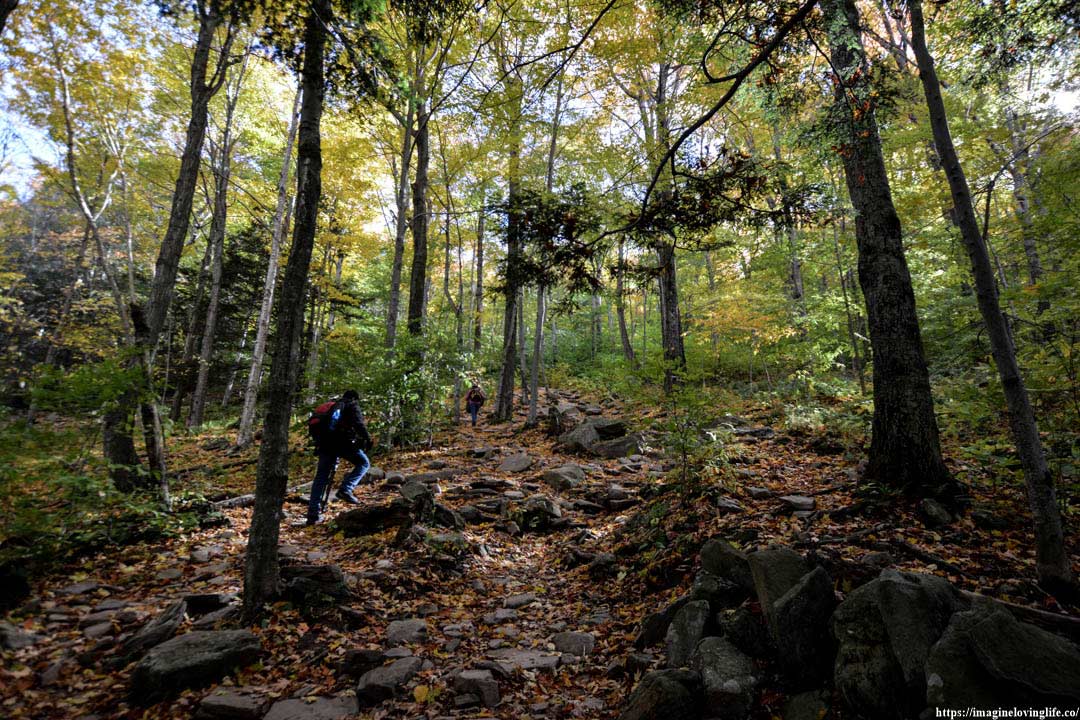 yellow trail ascent